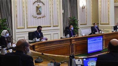 الإنفو جراف..الحصاد الأسبوعي لمجلس الوزراء 