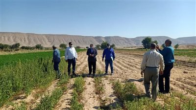 محافظ أسيوط يشدد على تسهيل عمل لجان تسعير الأراضي