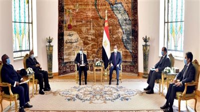 الرئيس السيسي يستقبل رئيس جمهورية ناميبيا الأسبق