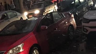  بسبب سوء الطقس.. انهيار برج حمام وسقوط نخلة بالمنصورة