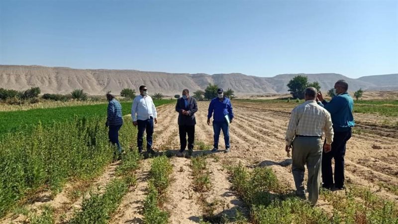 محافظ أسيوط يشدد