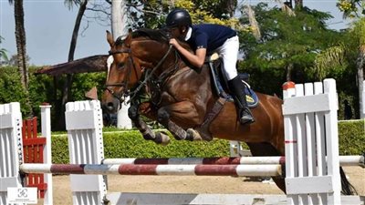 فرسان سموحة يتألقون فى بطولة الجمهورية