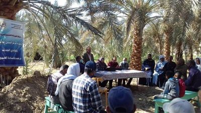 النيل للإعلام بالوادي الجديد ينظم  ندوة إعلامية عن كيفية وقاية الثروة الحيوانية 