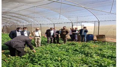 وفد صيني يتفقد مزارع الجمعية الشرعية بالوادي الجديد