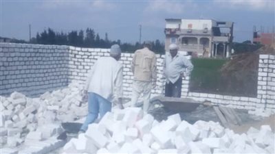 إزالة حالتي تعدٍّ على الأراضى الزراعية فى حملة بالبحيرة