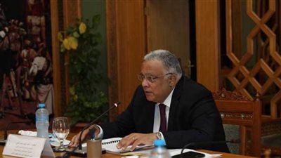 اللجنة العليا لحقوق الإنسان تكشف اهتمام مصر برعاية الأطفال 