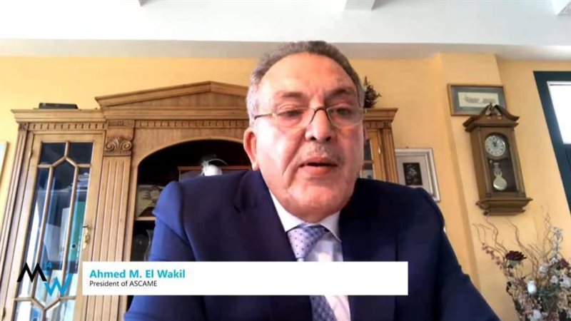 احمد الوكيل