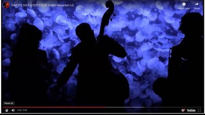 ويبينار علمى بيناقش تطور موسيقى الجاز فى اليابان