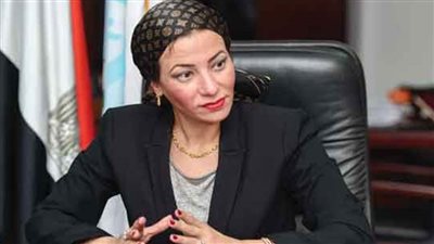 البيئة تنجح في إنقاذ عقاب السعفاء الكبرى بمحميات جنوب سيناء وإطلاقه إلى البرية بعد تلقى الرعاية الصحية