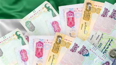 أسعار الدرهم الإماراتي مقابل الجنيه المصري 