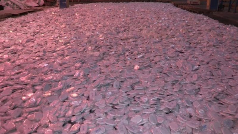 مخدر الحشيش