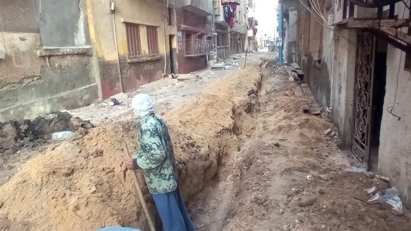 تطوير العشوائيات