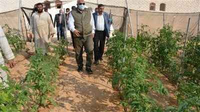 الزملوط يتفقد مشروع الصوب بالخارجة ويوجه ببيع المنتجات بأسعار مخفضة  