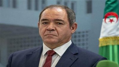 وزير الخارجية الجزائري يبدأ جولة خارجية تشمل نيجيريا والنيجر