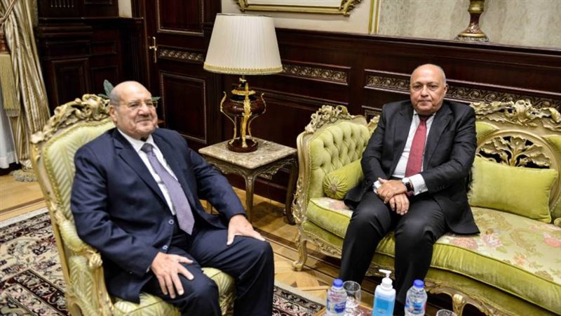 لقاء وزير الخارجية