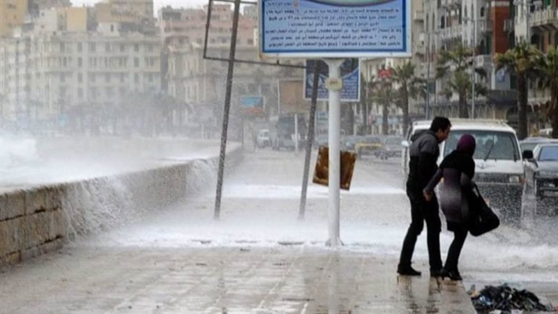 نوات الإسكندرية -