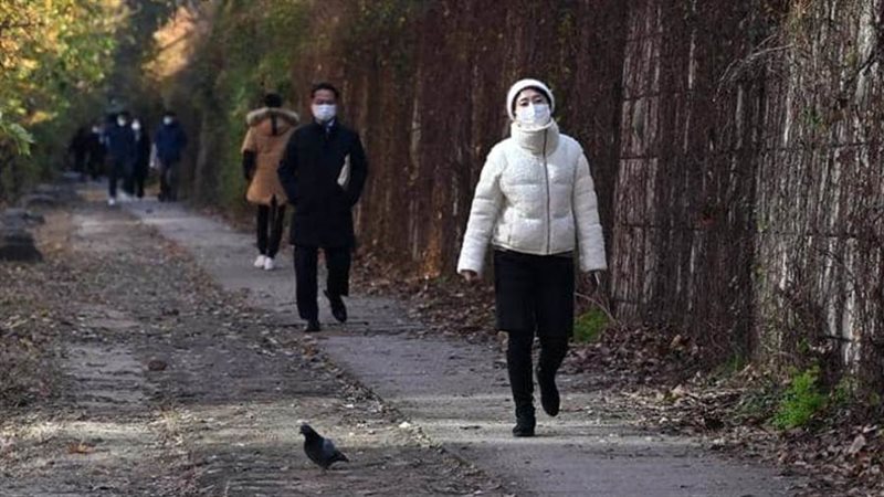 كورونا في كوريا الجنوبية