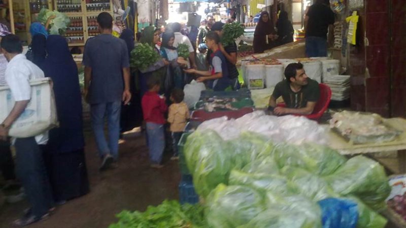 بوابة روز اليوسف