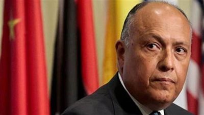 شكري يوجه بتكثيف التحرك الدبلوماسي دفاعا عن الموقف المصري 