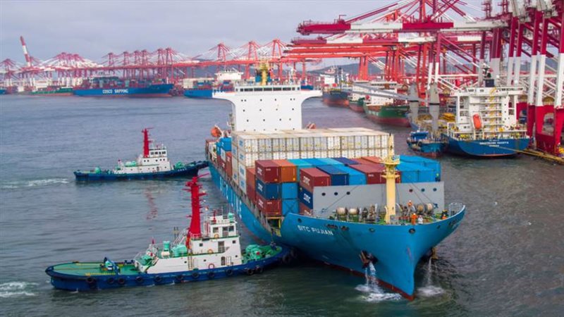 الشركات المستوردة