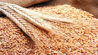 السلع التموينية