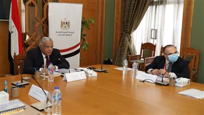 لجنة حقوق الإنسان: ما تبذله الدولة لحماية حقوق ذوي الإعاقة يعبر عن رؤية وطنية تقدر طاقاتهم