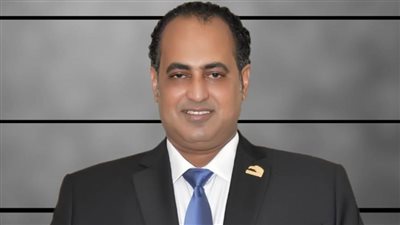 عضو بـ«الشيوخ»: الرئيس السيسي وضع اللبنانيين أمام مسؤولياتهم التاريخية لإعلاء مصلحة وطنهم