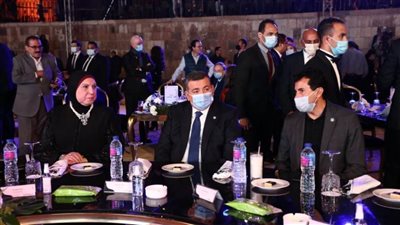 هيكل: صندوق تحيا مصر أثبت فاعليته في المشروعات التنموية والتكافلية 