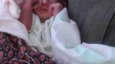 وضعوا رضيعهم بصندوق القمامة فنهشته الكلاب الضالة في كفر الشيخ