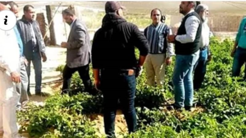 إرشاد المزارعين علي