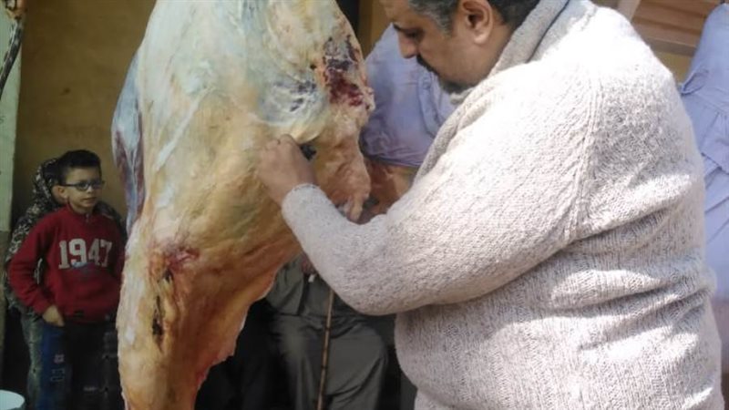 جانب من الحملة