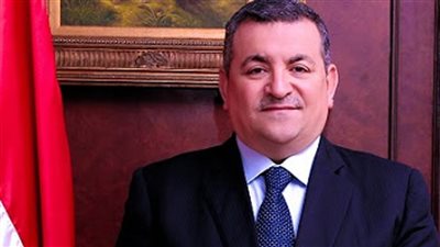 هيكل: الرئيس كان واضحًا في تعليقه على الرسوم  المسيئة للرسول