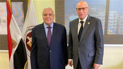 رئيس بعثة الجامعة العربية يشيد بنزاهة إنتخابات مجلس النواب وسلاسة إجراءات التصويت