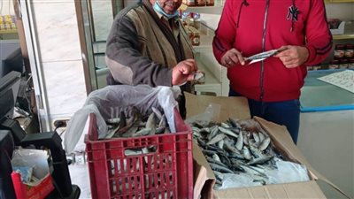 استمرار الحملات التموينية للرقابة على المخابز والمجازر بالبحيرة