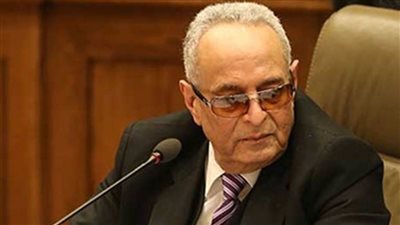 رئيس الوفد: مصر أكثر الدول صوناً لحقوق الإنسان