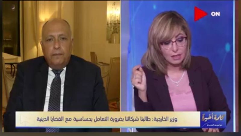 سامح شكري وزير الخارجية