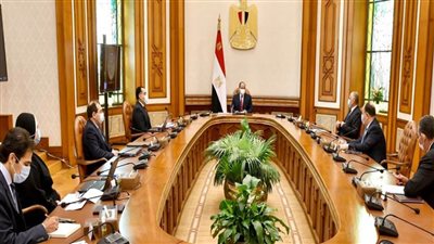 الرئيس السيسي يوجه بدعم الراغبين في إحلال السيارات للعمل بالغاز