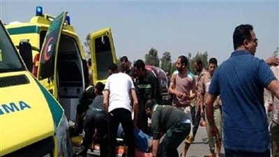 إصابة 7 أشخاص في حادث تصادم بكفر شكر