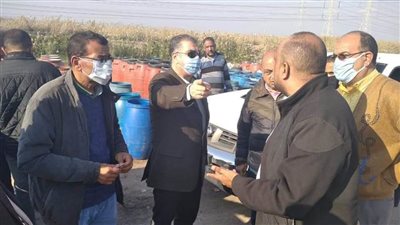 ضبط ٦٦ طن زيتون منتهي الصلاحية بمصنع بالعامرية أول