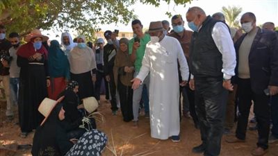 محافظ الوادي الجديد يتفقد قرية البشندي ببلاط
