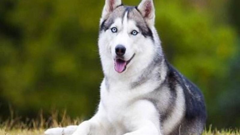 صورة أرشيفة