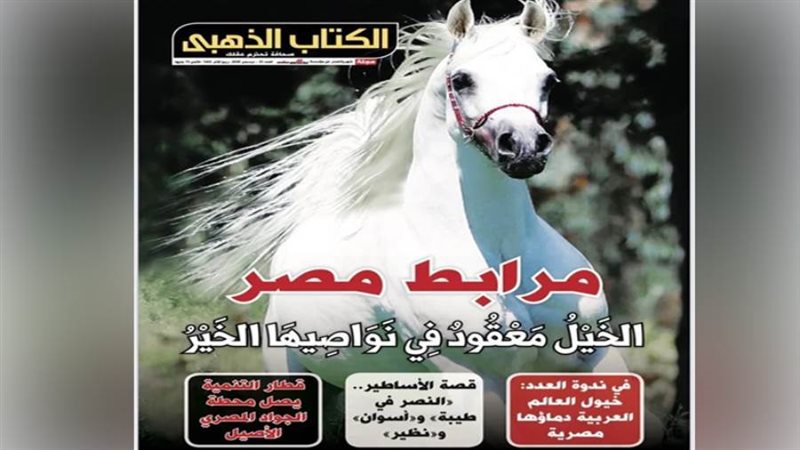 العدد الجديد من الكتاب