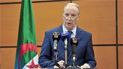 الجزائر تسجل 495 حالة إصابة بفيروس كورونا و13 حالة وفاة