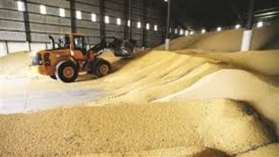 روسيا تفرض رسوما على صادرات القمح