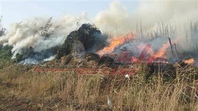 المنوفية: لاخسائر بشرية في حريق عزبة تكلا 