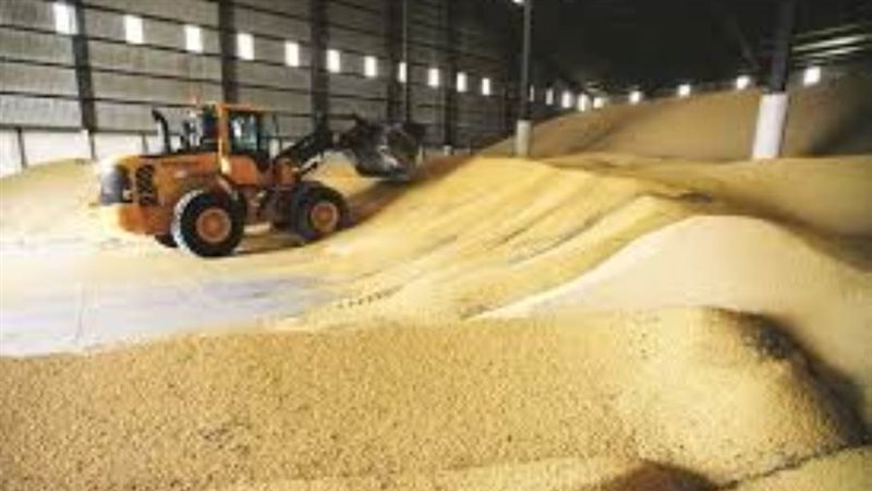 صادرات القمح