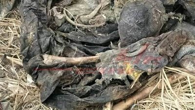 خاص| فلاح يعثر على بقايا جثة متحللة لسيدة بكفر الشيخ