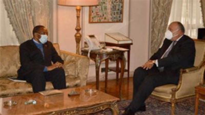 شكري يبحث مع نيتومبا دعم مصر للرئاسة الكونغولية المقبلة للاتحاد الإفريقى