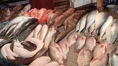 أسعار الأسماك في الأسواق اليوم..تعرف عليها 