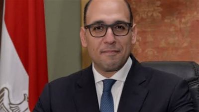 مصر: تشكيل حكومة كفاءات يمنية خطوة مهمة للتوصل لتسوية الأزمة اليمنية